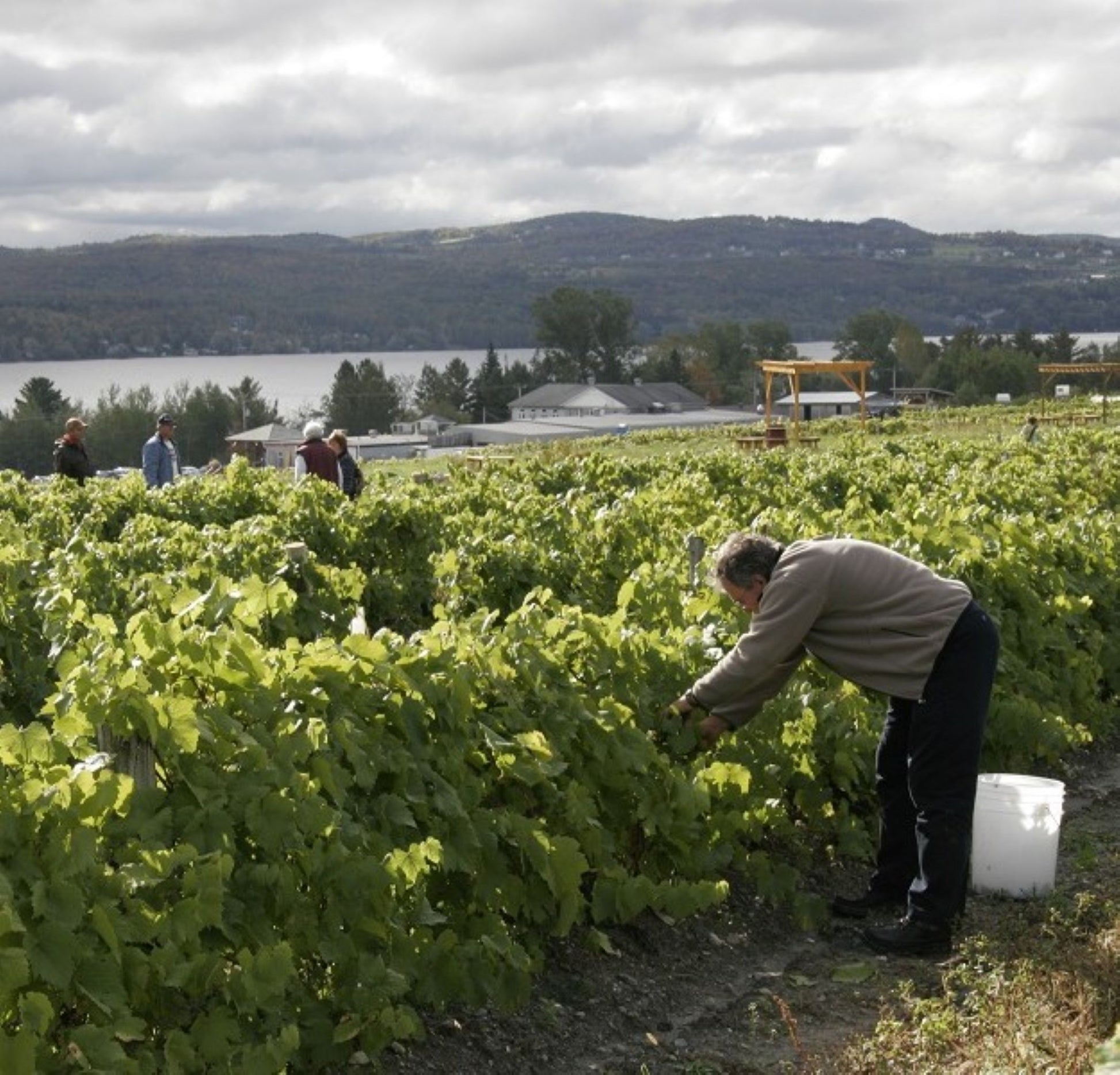 The Eastern Townships: Quebec’s Wine Paradise